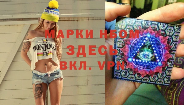 мяу мяу мука Баксан