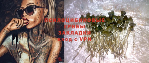 соль ск Балахна