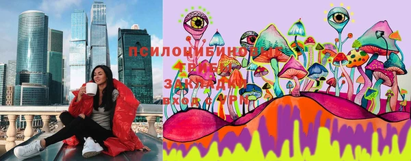 соль ск Балахна