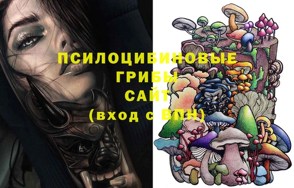 мяу мяу мука Баксан
