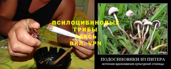 мяу мяу мука Баксан