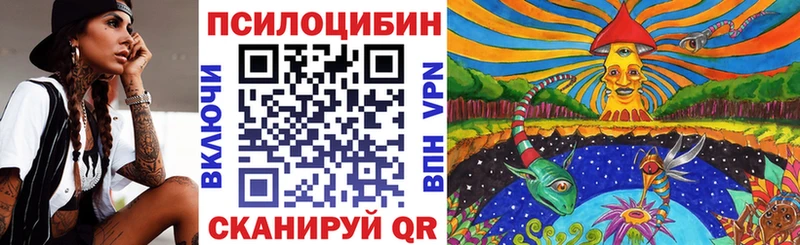 Галлюциногенные грибы мицелий  Чадан 